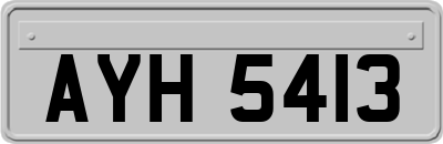 AYH5413