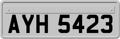 AYH5423