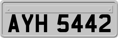 AYH5442