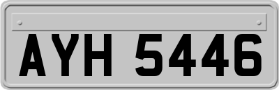 AYH5446