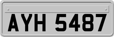 AYH5487