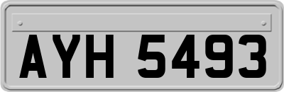 AYH5493