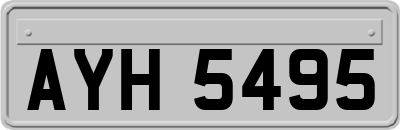 AYH5495