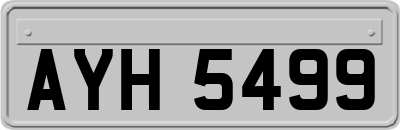 AYH5499