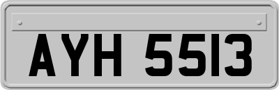 AYH5513