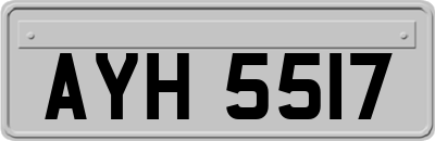 AYH5517