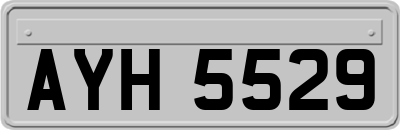 AYH5529