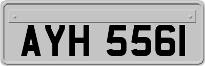 AYH5561