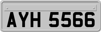 AYH5566