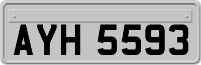 AYH5593