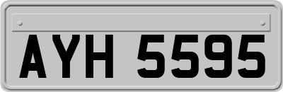 AYH5595