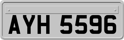 AYH5596