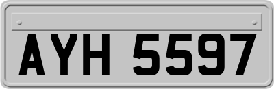 AYH5597