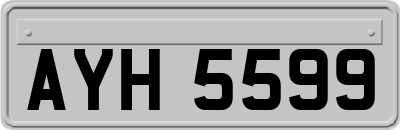 AYH5599