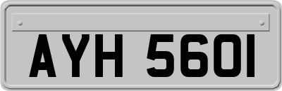 AYH5601