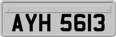 AYH5613