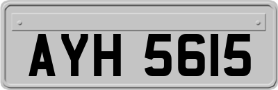 AYH5615