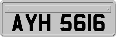 AYH5616