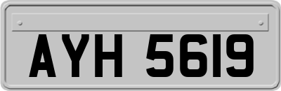 AYH5619