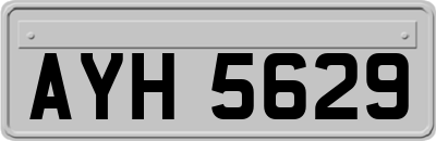 AYH5629