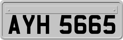 AYH5665
