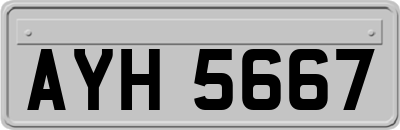 AYH5667