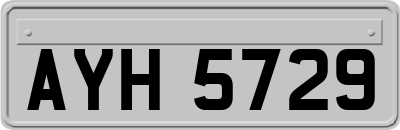 AYH5729