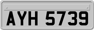 AYH5739