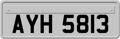 AYH5813