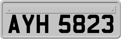 AYH5823
