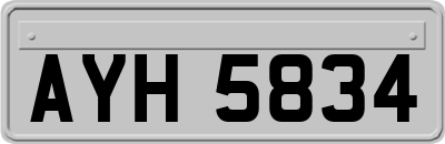 AYH5834