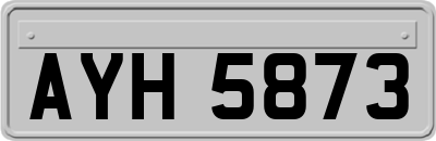 AYH5873