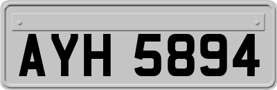 AYH5894