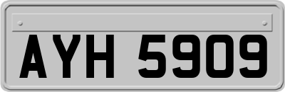 AYH5909