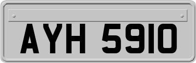 AYH5910