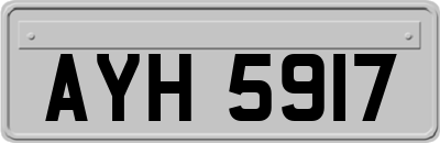 AYH5917