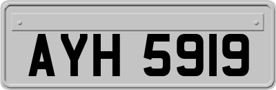 AYH5919
