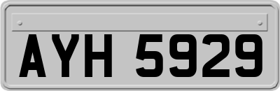 AYH5929