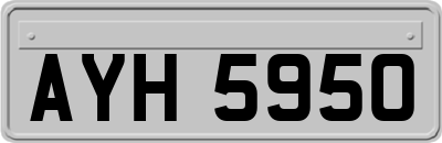 AYH5950