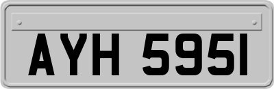 AYH5951