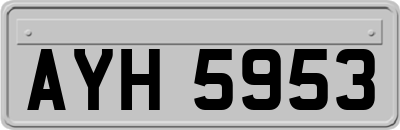 AYH5953