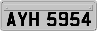 AYH5954