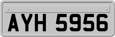 AYH5956