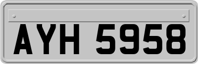 AYH5958