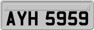 AYH5959
