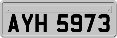 AYH5973