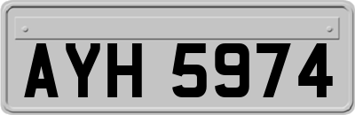 AYH5974