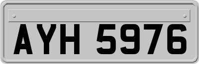 AYH5976