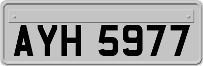 AYH5977