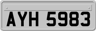 AYH5983